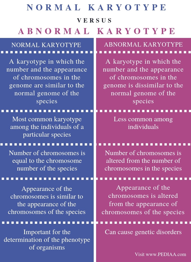 what-is-the-difference-between-normal-and-abnormal-karyotype-pediaa-com