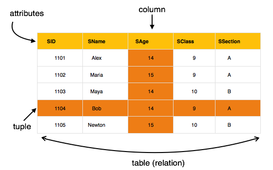 what-is-the-difference-between-relation-and-relationship-in-dbms