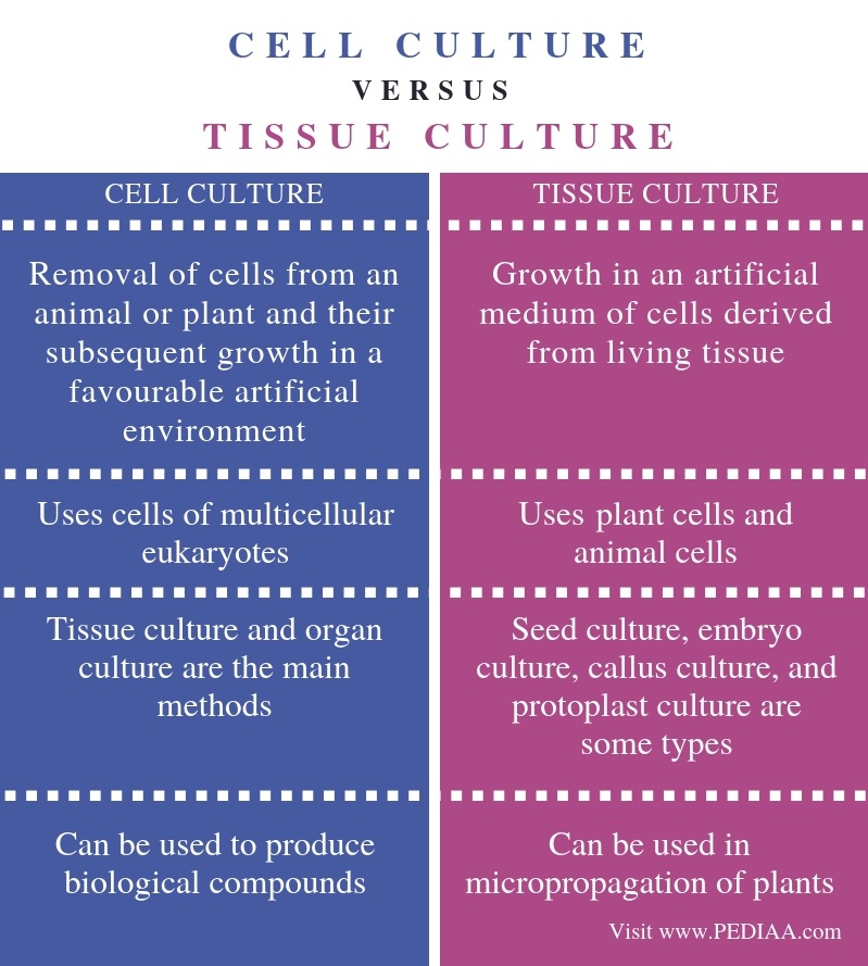 What Is The Difference Between Cell Culture And Tissue Culture Three