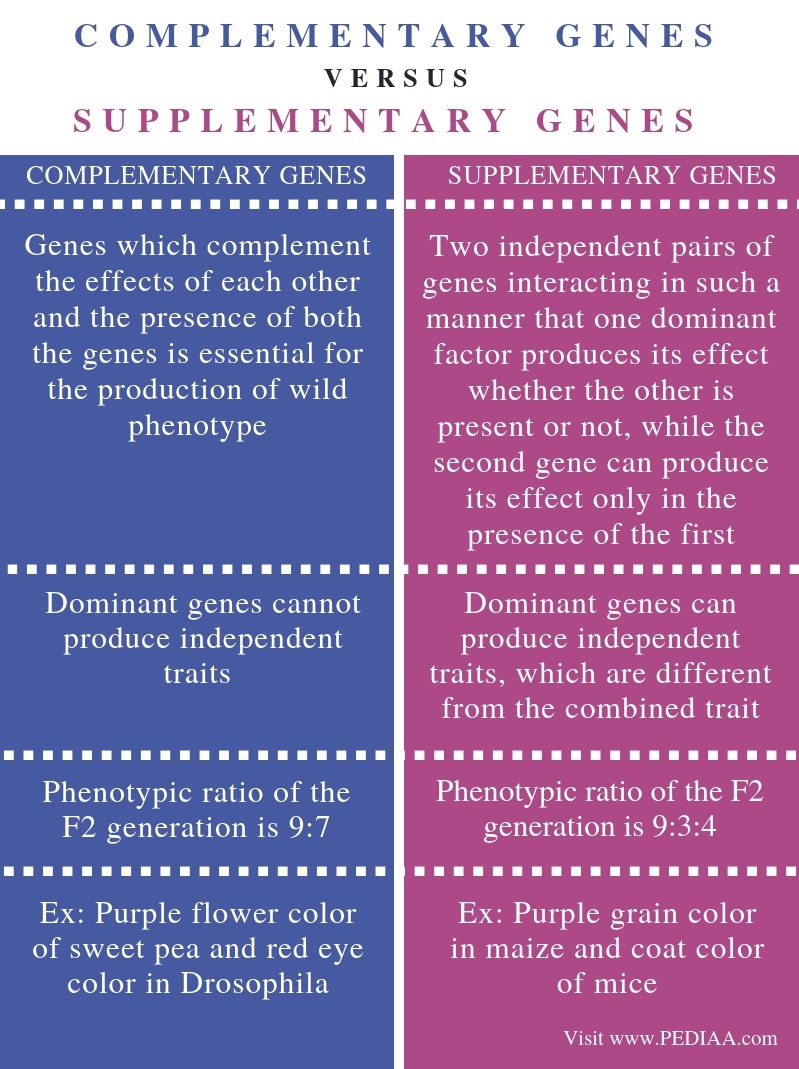 what-is-the-difference-between-complementary-and-supplementary-genes