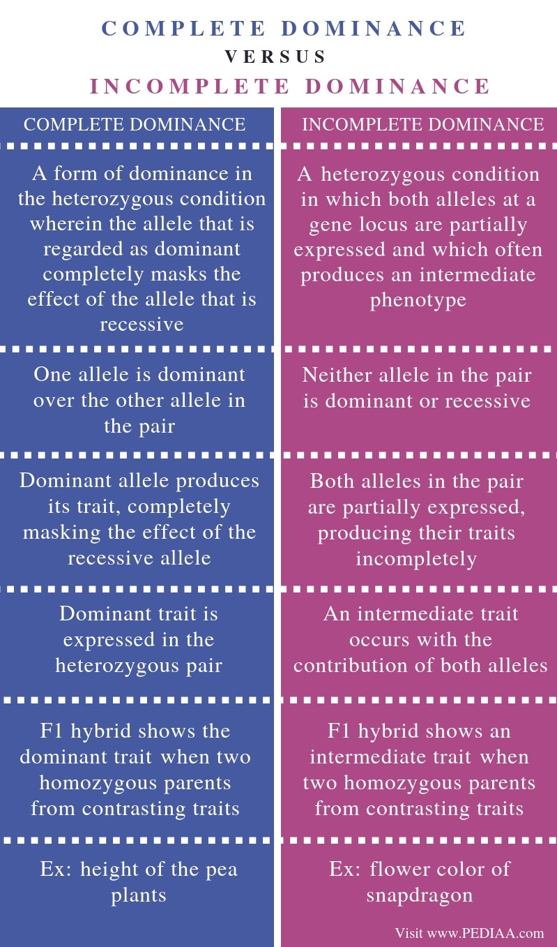 what is difference between incomplete dominance and codominance