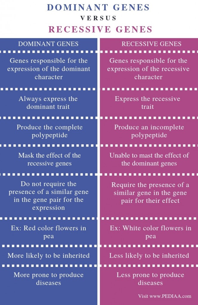 what-is-the-difference-between-dominant-and-recessive-genes-pediaa-com