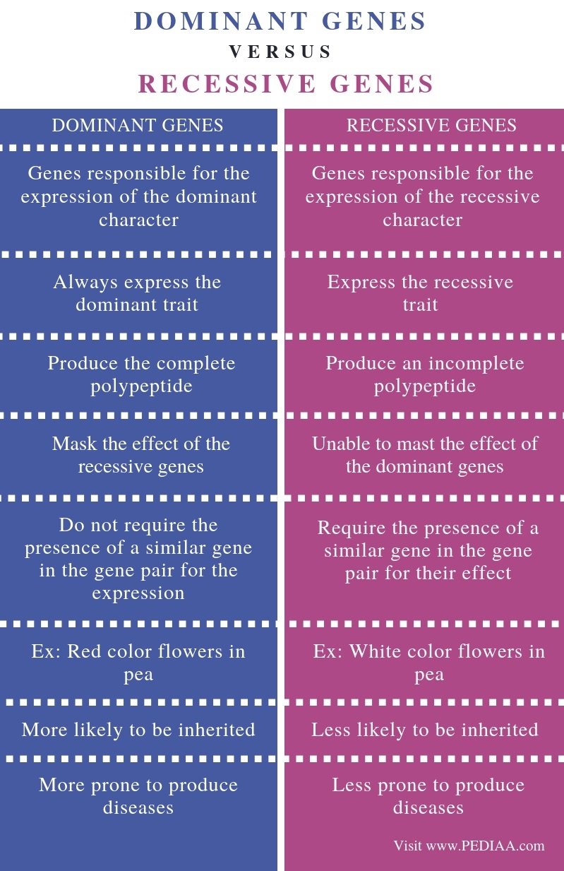 What Is The Difference Between Dominant And Recessive Genes Pediaa Com