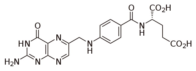 Main Difference - Folic Acid vs Fish Oil