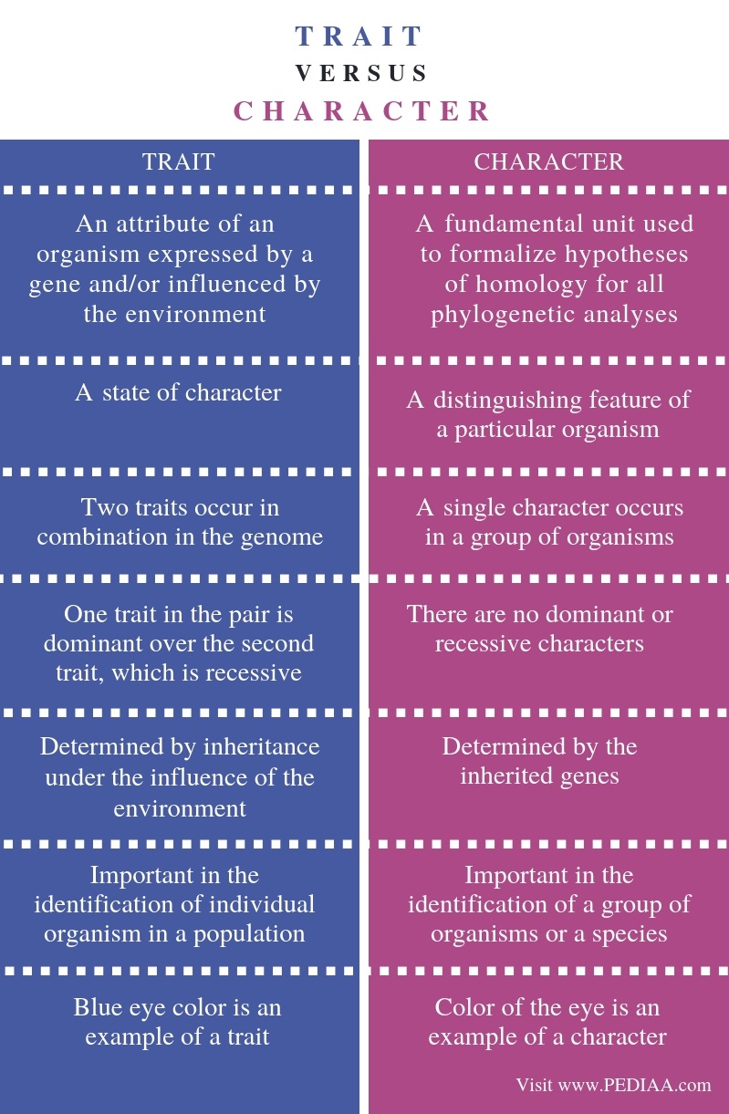 What Is A Difference Between Characteristic And Trait