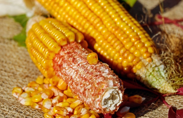 What is the Difference Between Corn Syrup and High Fructose Corn Syrup