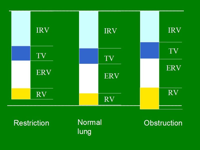 What is the Difference Between Lung Volume and Lung Capacity