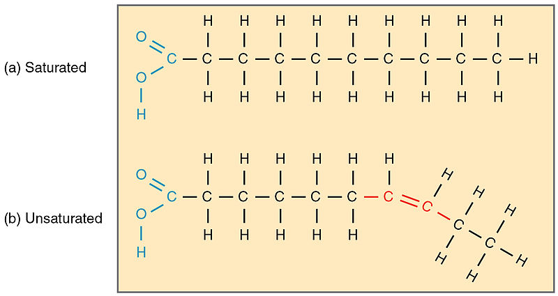 What is the Difference Between Saturated and Unsaturated Fatty Acids
