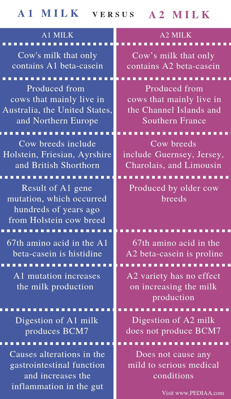 what-s-the-difference-between-a1-and-a2-milk-pediaa-com