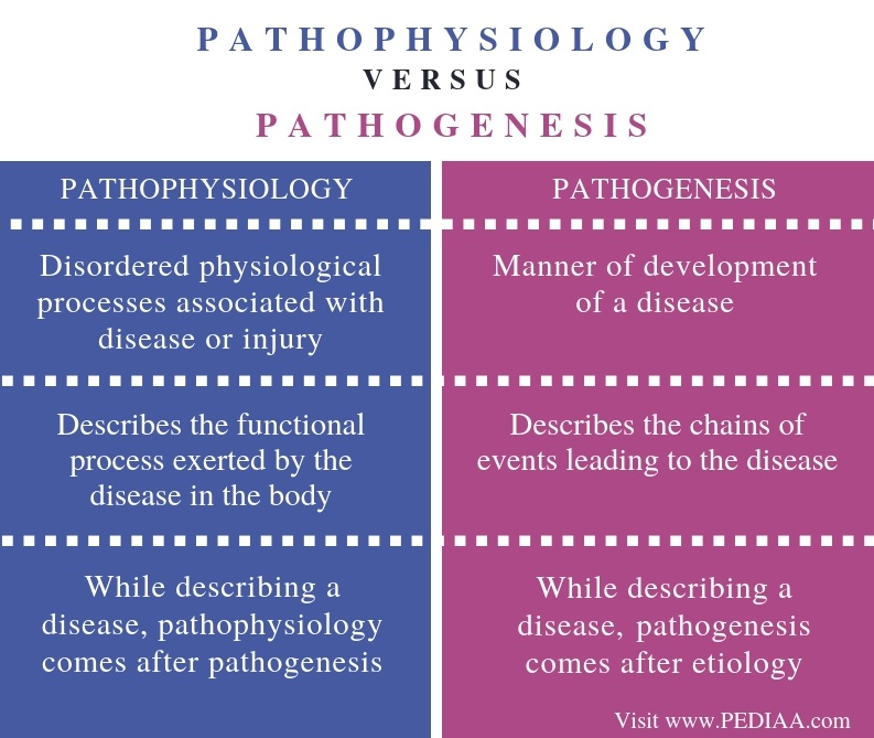 etiology vs pathophysiology