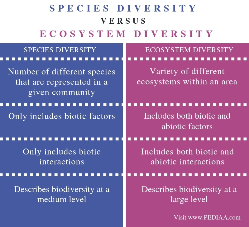 What is the Difference Between Species Diversity and ...