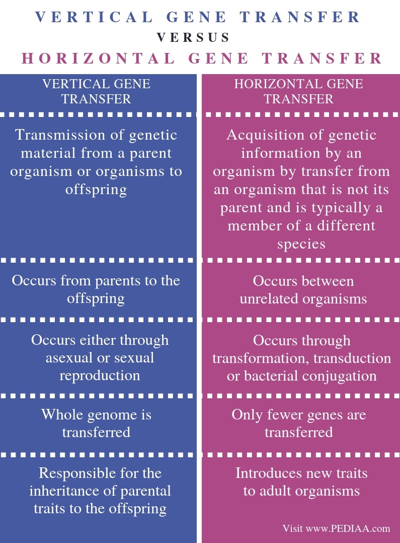 Lateral Vs Horizontal Gene Transfer