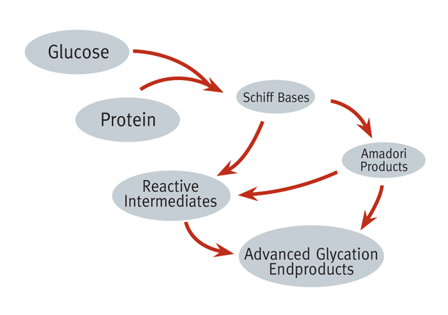 What is the Difference Between Glycation and Glycosylation