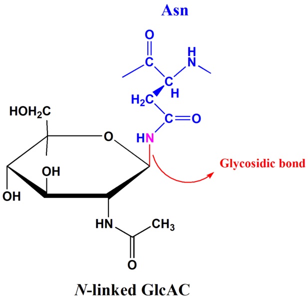 Main Difference - Glycation and Glycosylation