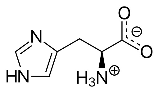 What is the Difference Between Histidine and Histamine_Figure 1
