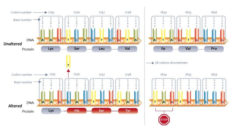 What Is A Missense Mutation In Dna