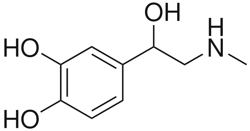 what-is-the-difference-between-adrenaline-and-noradrenaline-pediaa-com