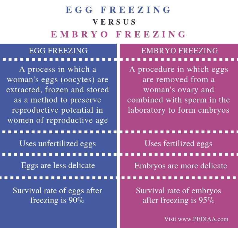 what-is-the-difference-between-egg-freezing-and-embryo-freezing