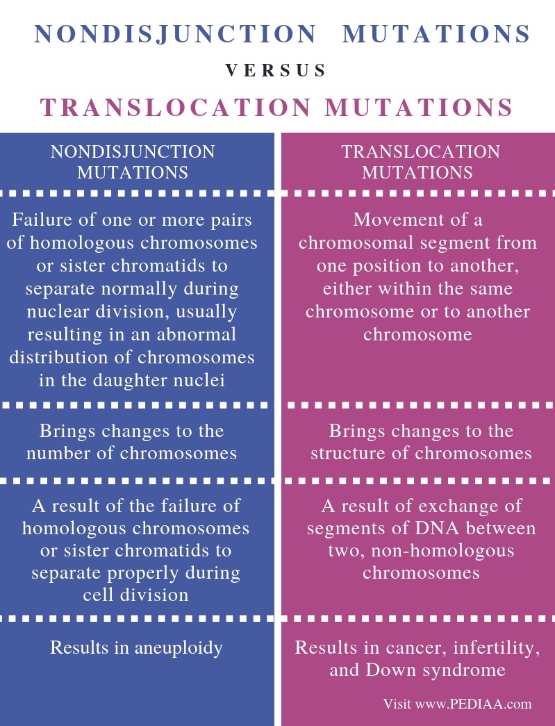 what-is-the-difference-between-nondisjunction-and-translocation