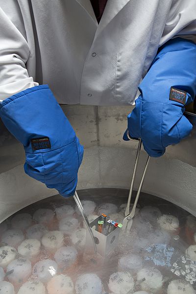 What is the Difference Between Egg Freezing and Embryo Freezing