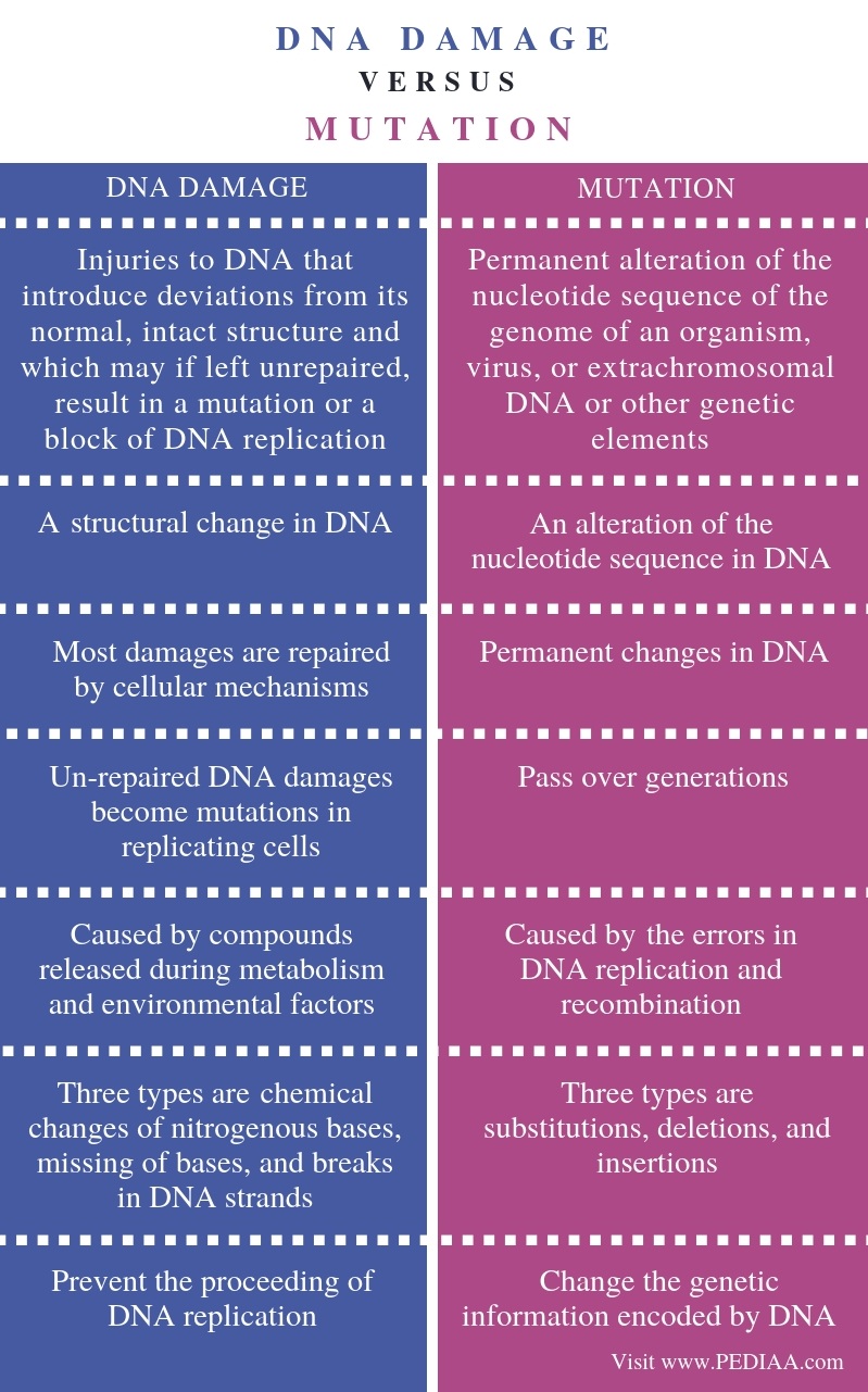 What is the Difference Between DNA Damage and Mutation - Pediaa.Com