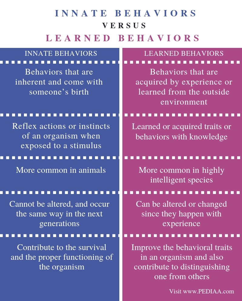 what is the relationship between human development and learning behavior