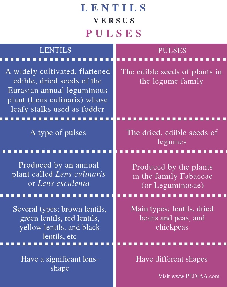 what-is-the-difference-between-lentils-and-pulses-pediaa-com