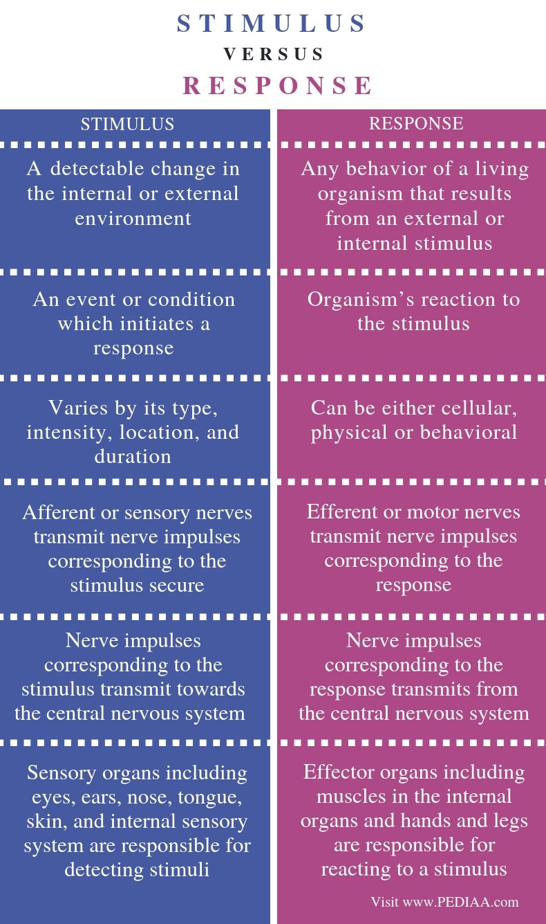 Stimuli Stimulus