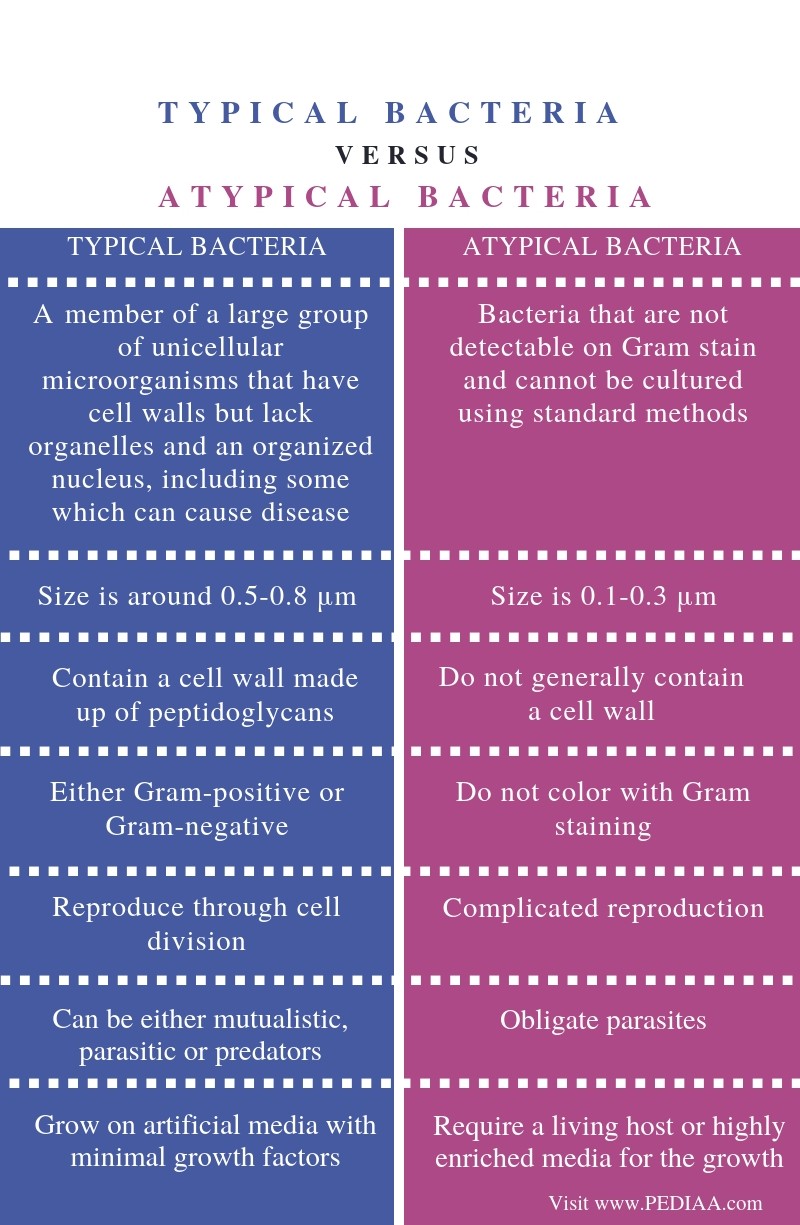 What Is The Difference Between Typical And Atypical Bacteria Pediaa Com