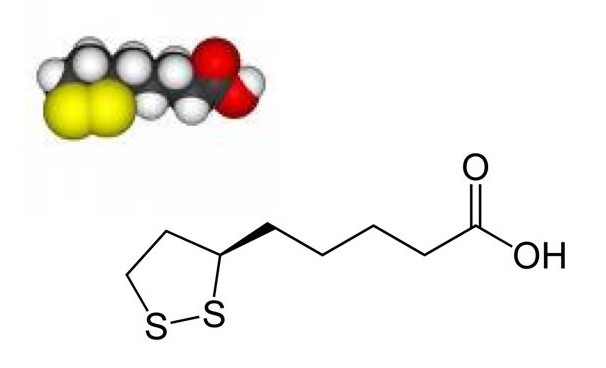 What is the Difference Between Alpha Lipoic Acid and R Lipoic Acid