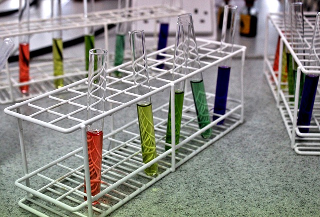What is the Difference Between Biochemical and Cell Based Assays