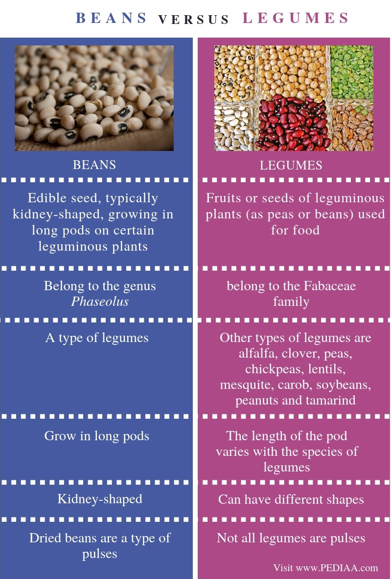 what-is-the-difference-between-beans-and-legumes-pediaa-com