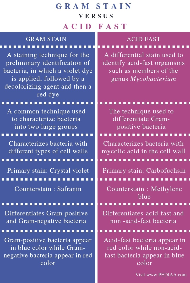 What Stain Is Used For Acid Fast Bacteria