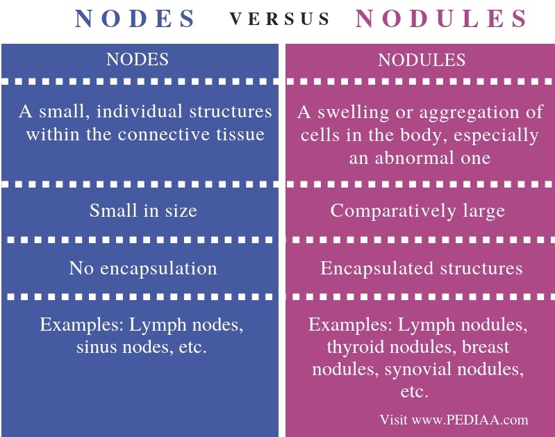 Nodules Definition In English