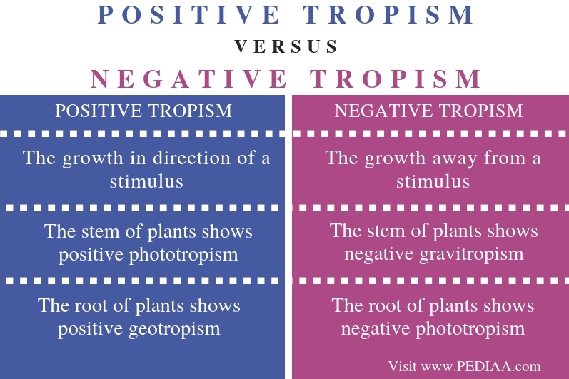 what is the difference negative and positive