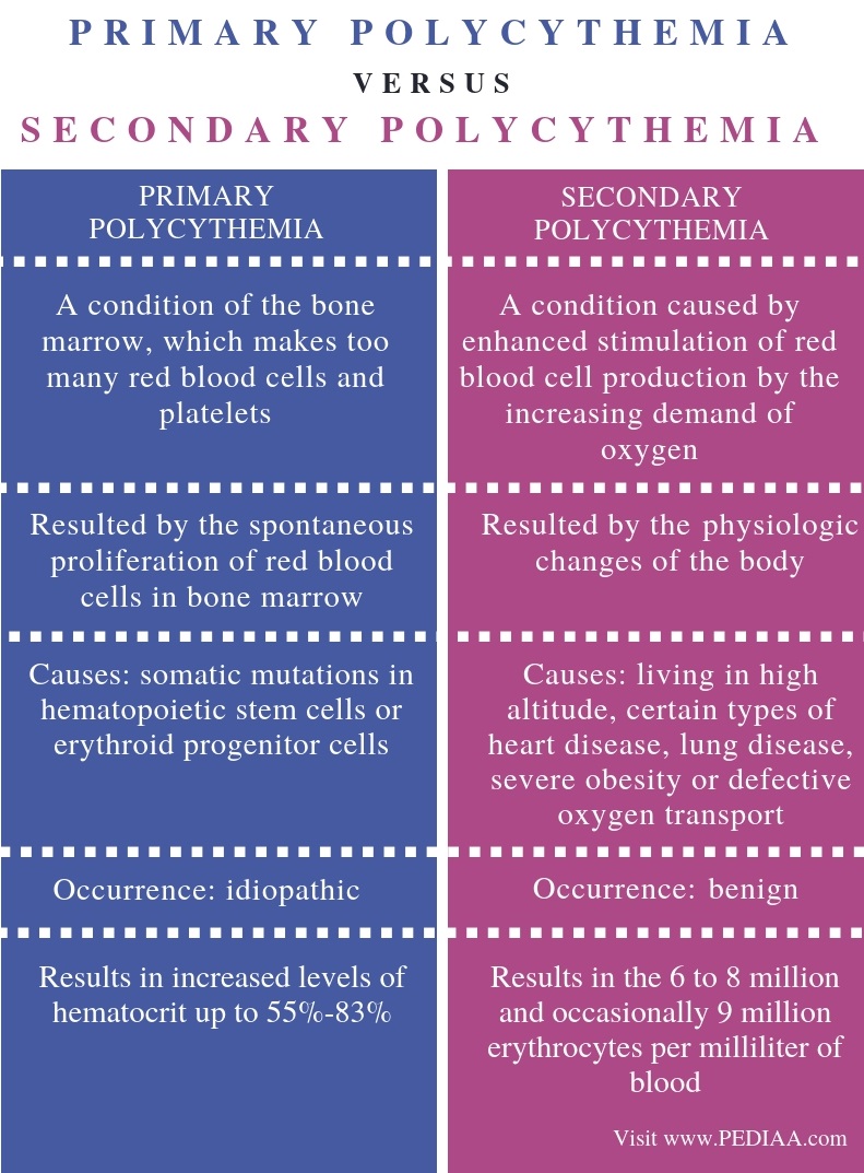 what-is-the-difference-between-primary-and-secondary-polycythemia