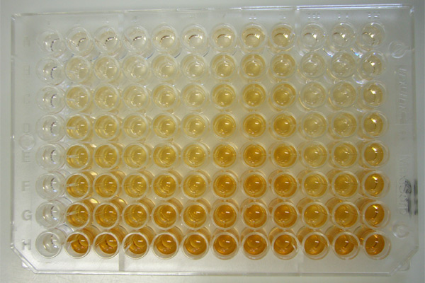 What is the Difference Between Limit Test and Assay