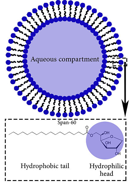 Difference Between Liposomes and Niosomes