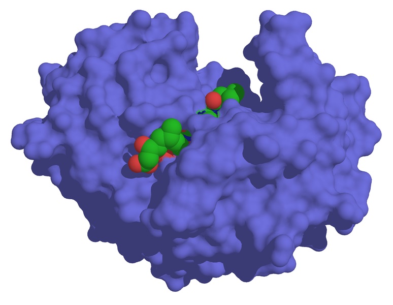 What Is The Difference Between Pepsin And Pepsinogen Pediaa Com