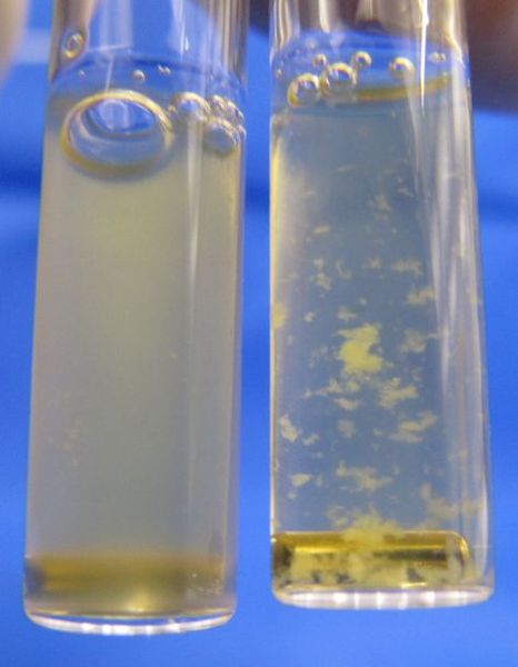What is the Difference Between Primary and Secondary Hemostasis