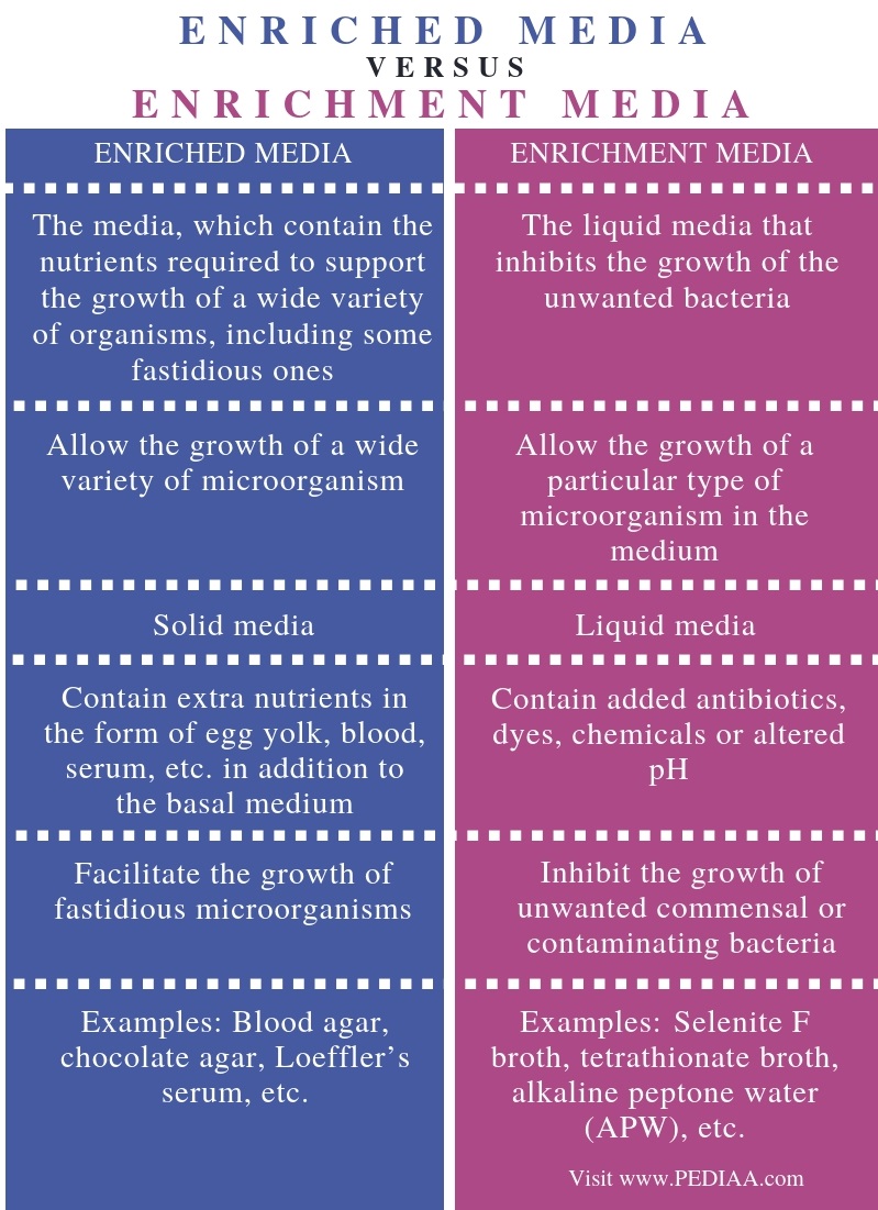 What is the Difference Between Enriched Media and Enrichment Media