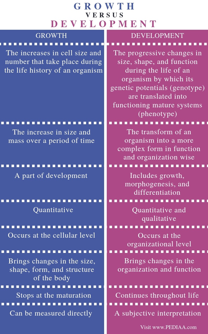 Development In Biology Meaning