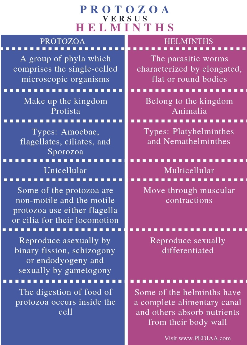 parasitic helminths characteristics)