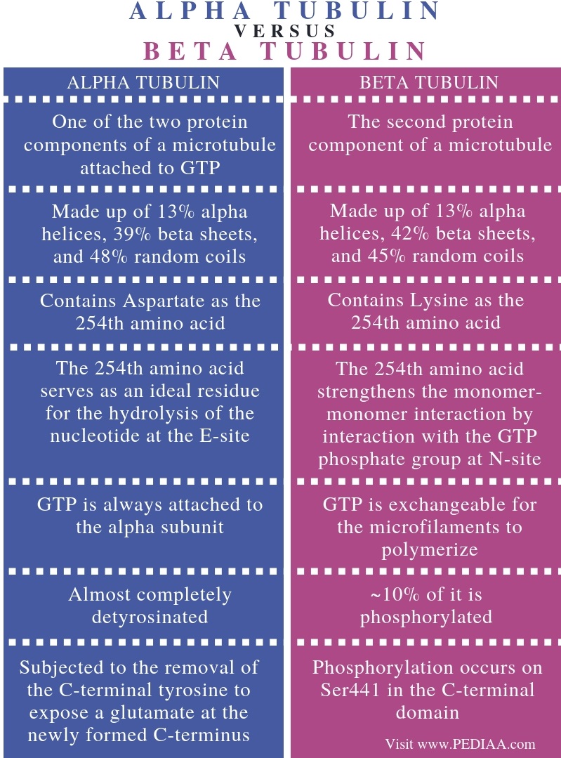 overview-of-the-different-types-of-polar-flagellar-filaments