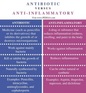 What Is The Difference Between Antibiotic And Anti Inflammatory