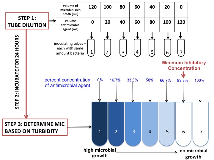 What Is The Difference Between MIC And MBC Pediaa