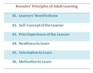 What Are Adult Learning Principles