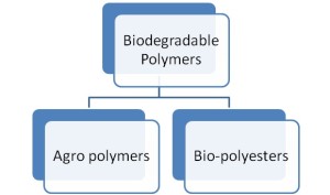 What Are Biodegradable Polymers