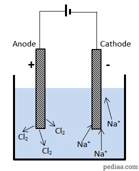 Difference Between Anode and Cathode - Electrolysis