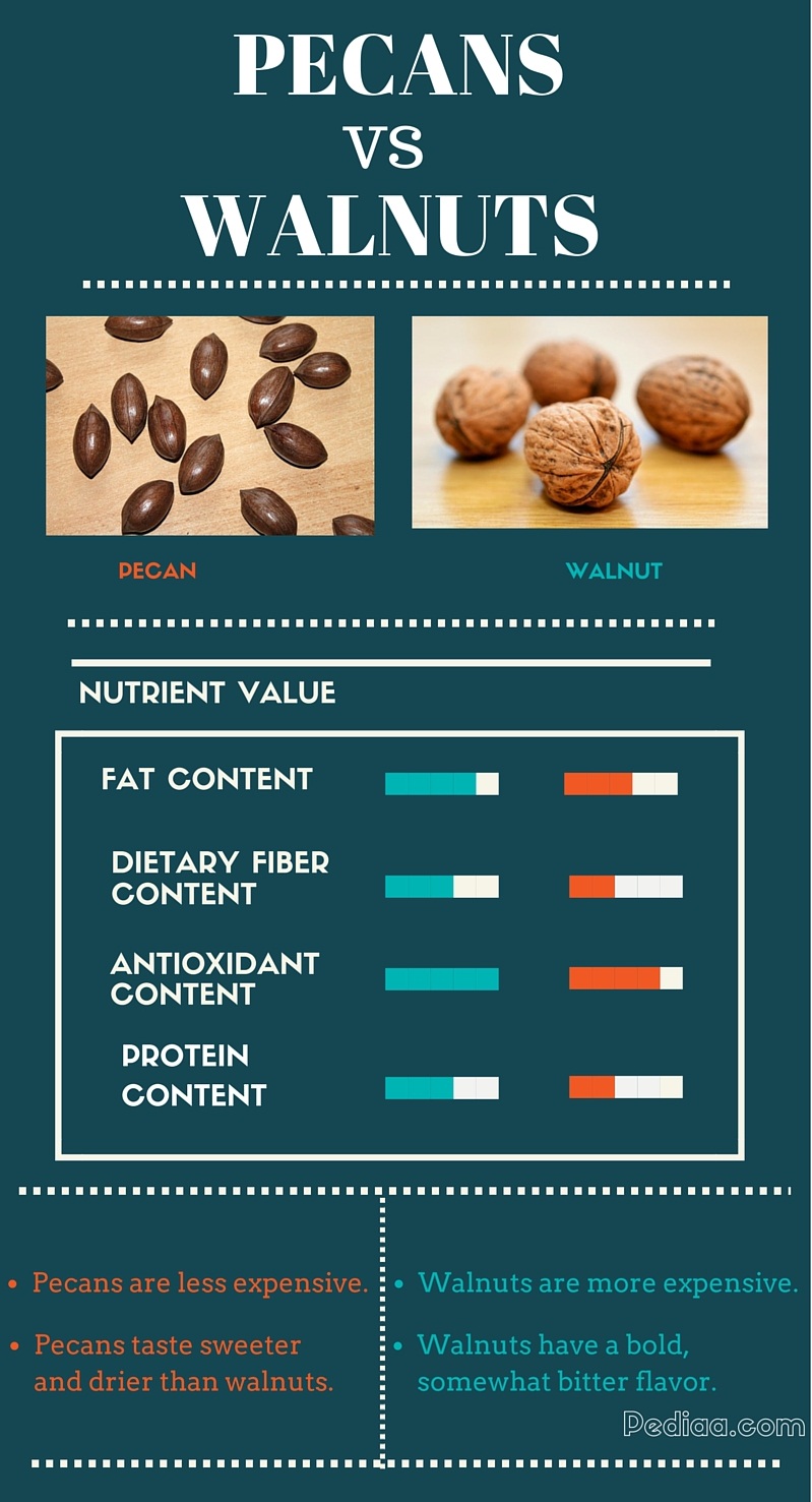 Difference Between Pecans and Walnuts